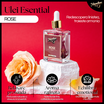 Pachet Glow & Bloom de la BeMagnetique, ulei natural de trandafir și iasomie, prezentat în pachet elegant cu două sticluțe.