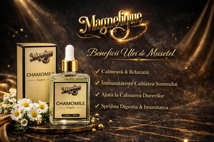 Set Grow & Glow cu ulei natural de rozmarin și mușețel de la BeMagnetique, flacoane de ulei esențial în imagine.