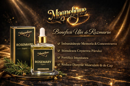 Pachet Focus & Energy cu uleiuri naturale de rozmarin și lavandă, de la BeMagnetique, prezentate în sticle mici, pentru aromaterapie.