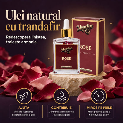Velvet Night Ritual Magnetique | Ulei Cocos, Trandafir & Iasomie 3 x100ml